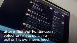 Elon Musk could quit after Twitter users vote in poll on his own news feed News Clip