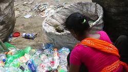 Plastic bottle recycling factory Stock Footage