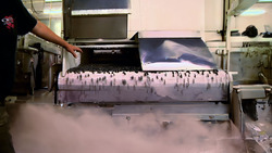 Seasonal Freshness All Year Round: The Process of Freezing Fruits Instructional Video