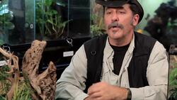 How to Treat a Tarantula Bite or Rash Caused by Tarantula Instructional Video