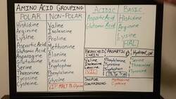 Amino Acid Grouping - Basics for Beginners - Biochemistry Lesson Instructional Video