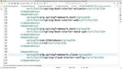 Master Microservices with Spring Boot and Spring Cloud - Step 20 – Connect Currency Conversion and Currency Exchange Microservices – V2 Instructional Video