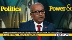 Liberal leadership hopeful says he doesn't speak French News Clip