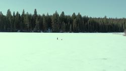 Why we've decided to go off-grid! Instructional Video