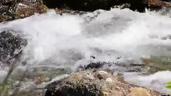 water flowing in a Pyrenean stream Stock Footage