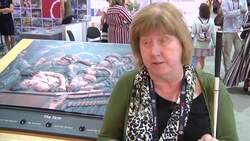 Tech helps blind "see" art Instructional Video