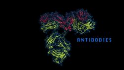 Autoimmune Diseases Instructional Video