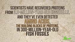 This Ancient Tooth Could Shake Up How We Study Evolution | SciShow News Instructional Video