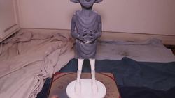 3D Printed Dobby Instructional Video