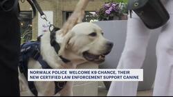 Norwalk police get new K-9 officer Chance News Clip