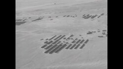 Anglo-Egyptian Pact signed in Cairo ending 72 years of British occupation; parade marks 2nd anniversary of Egyptian revolution regime News Clip