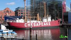 7 Organisms That Can Clean Toxic Waste Instructional Video