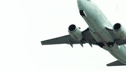 Mark Adam, Safeguarding Skies with Falconry at Falcon Environmental Services Instructional Video