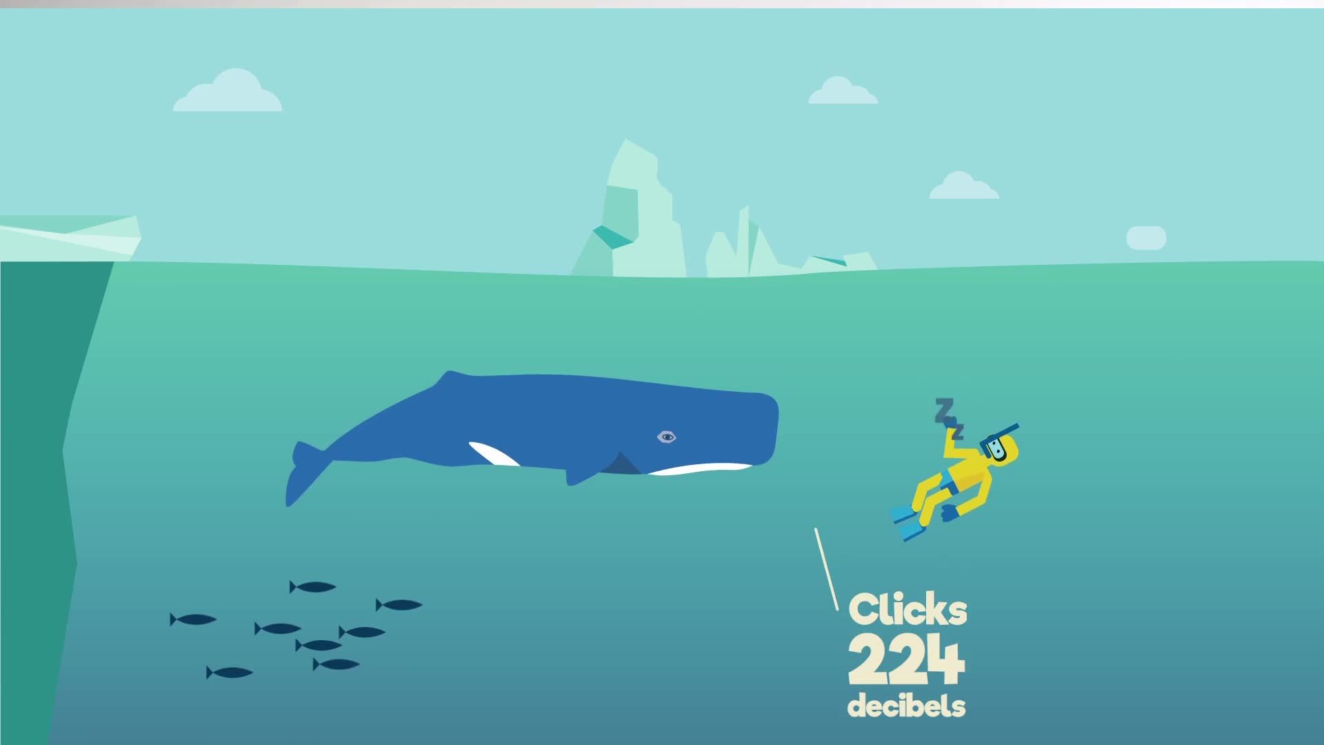 Ocean Acoustics | Science Geography