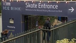 Natural History Museum at Christmas News Clip