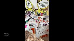 A walk-through of Canada's exhibit at the 2023 Venice Biennale News Clip