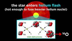 The Life and Death of Stars: White Dwarfs, Supernovae, Neutron Stars, and Black Holes Instructional Video