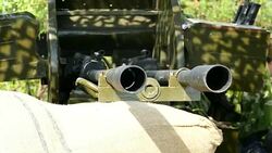 rapid-fire cannon in a disguised position Stock Footage