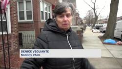 Tree falls on multiple cars in Morris Park, leaving some residents without power Instructional Video