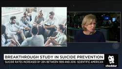 Scientists Turning to Machine Learning For Suicide Prevention News Clip