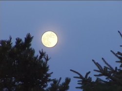 Exploring Earth, Sun, and Moon: Video Assessment Instructional Video