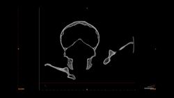 Cheetah's superpower! Instructional Video