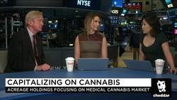 Bill Weld: Cannabis Should Be a States Rights Issue News Clip