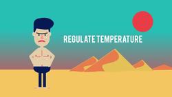 Water Balance in the Body Instructional Video