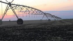 Center pivot irrigation at sunset 8 Stock Footage
