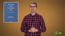 Bleaching in the Great Barrier Reef, and a Zika Update Instructional Video