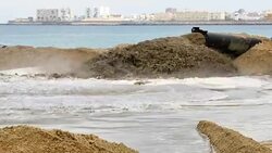 Wide Angle: Sand Pouring on a Beach Stock Footage