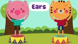 Head Shoulders Knees and Toes | Nursery Rhymes Songs | The Kiboomers Instructional Video