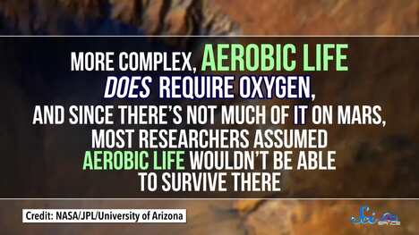 Could Complex Life Survive on Mars - SciShow News