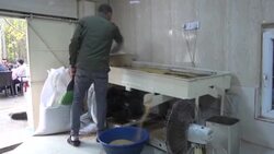 CLEAN : Despite modern technology, Iraqi-Kurdish tahini makers stick to tradition News Clip