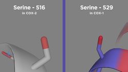 Aspirin (Acetylsalicylic Acid) Instructional Video