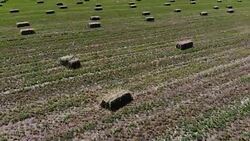 Agricultural Field Stock Footage