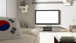 Couch and TV With Flag of South Korea Stock Footage