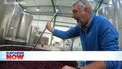 English winemakers take on the French with their very own 'Nouveau' News Clip