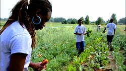 Food Works Instructional Video