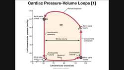 Cardiac Pressure-Volume Loops Instructional Video