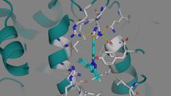 Celecoxib (Celebrex) and other COX-2 Selective Inhibitors Instructional Video