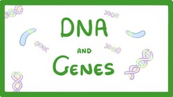 GCSE Biology - DNA Part 1 - Genes and the Genome #63 Instructional Video