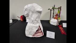 Knight of Excellence Awards celebrates student achievements at Stamford High School News Clip