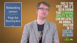 Lemurs Are Into Networking Too Instructional Video