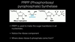 PRPP Synthetase Function Instructional Video