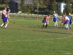 Understanding the Food Pyramid and Daily Nutrient Requirements Instructional Video