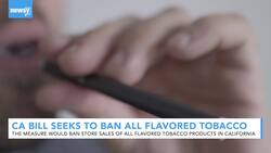 California Lawmakers Propose Ban On All Flavored Tobacco Products News Clip