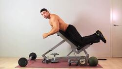 How to Do a Prone Hammer Curl for an Arm Workout Instructional Video
