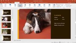 Mastering Transitions in PowerPoint Presentations Instructional Video