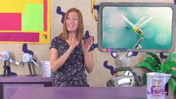 Animal Guessing Game! | Compilation | SciShow Kids Instructional Video